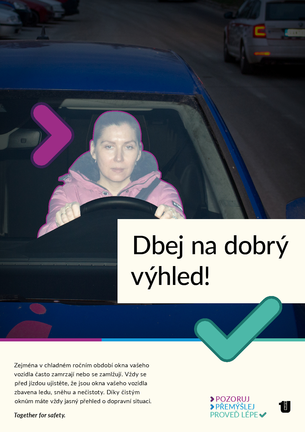 Zemlickova pdf